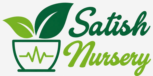 Satish Nursery